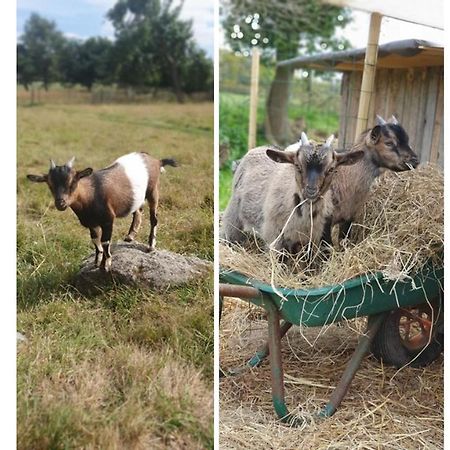 플라우마고아 Le Domaine De La Petite Chevre 빌라 외부 사진